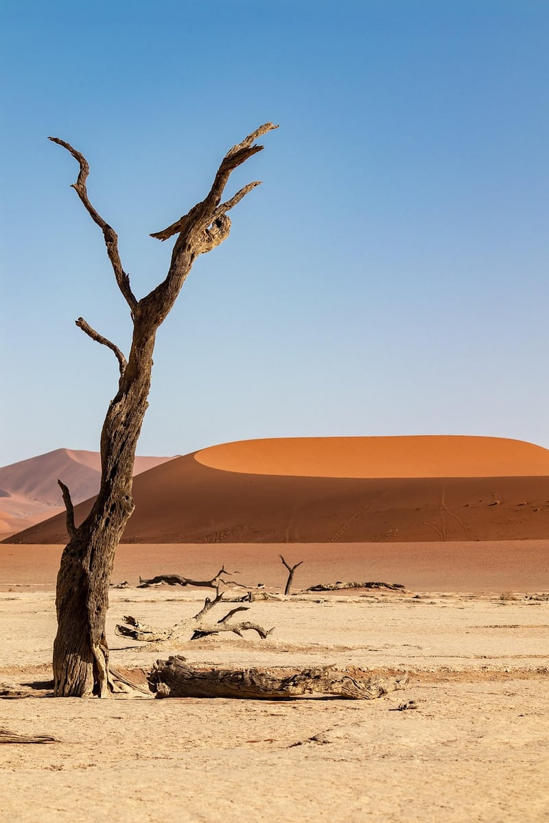Desert Adventure